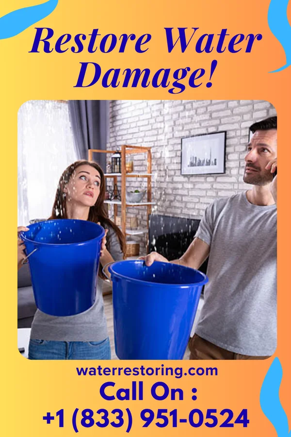 water restoration Crown Water Restoration Pros Post Oak Bend City