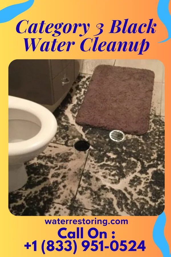 Category 3 Black Water Cleanup in Post Oak Bend City, TX